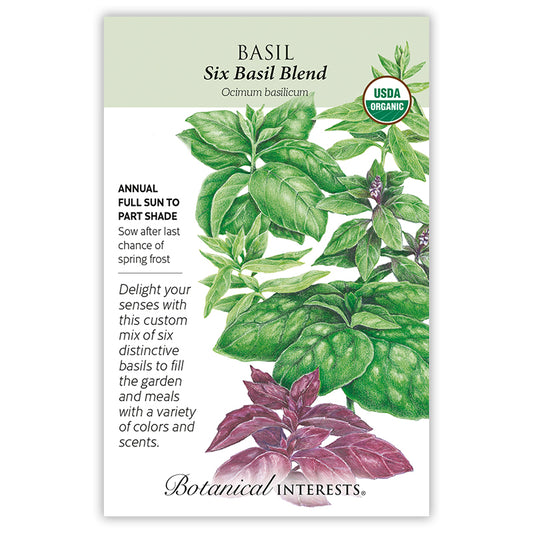 Basil Six Basil Blend