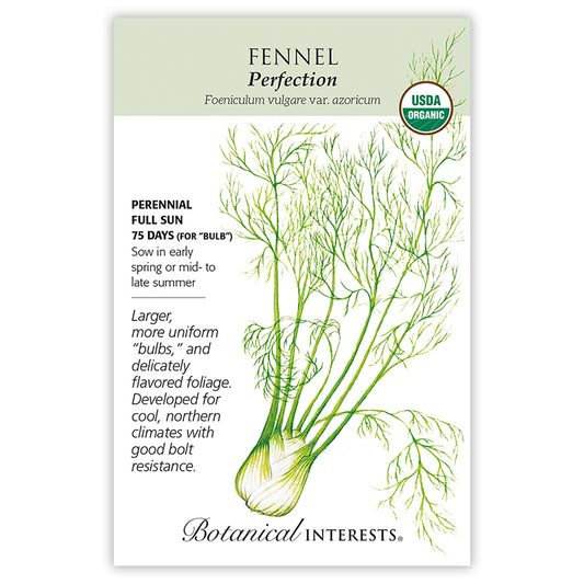 Fennel Romanesco Organic