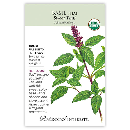 Basil Thai Sweet Tai Organic
