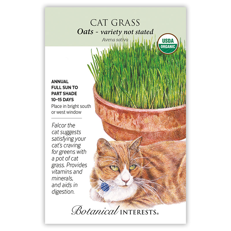 Cat Grass Organic