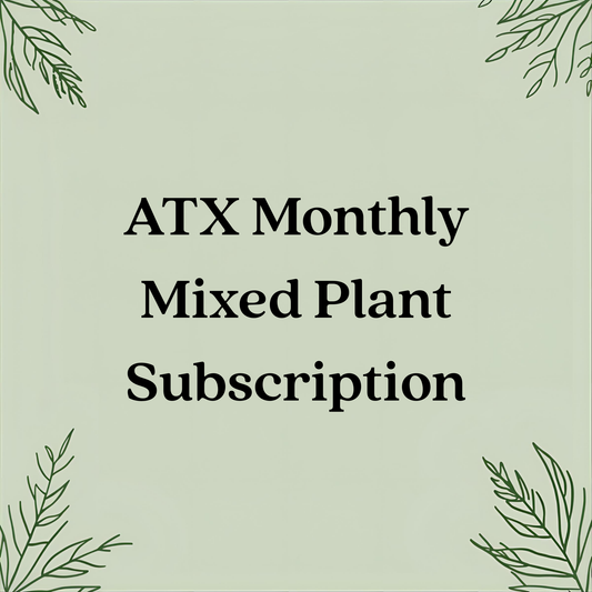 ATX Monthly Mixed Plant Subscription – Premium 4" Seasonal Plants