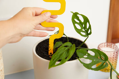 Metal Houselant Grow Pole 11"