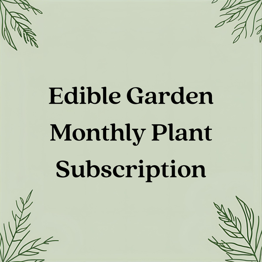 Edible Garden Monthly Plant Subscription – Seasonal Veggies & Herbs in 4" Pots