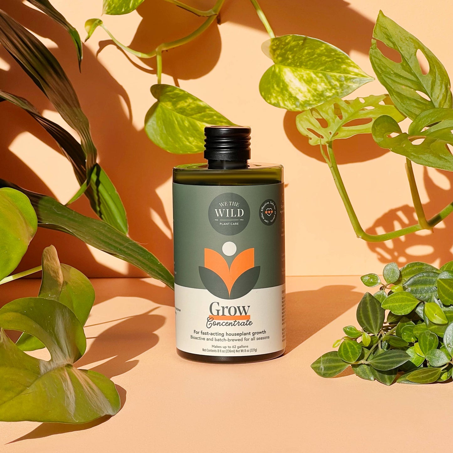 Santa Essential Plant Care Kit
