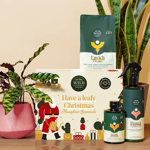 Santa Essential Plant Care Kit