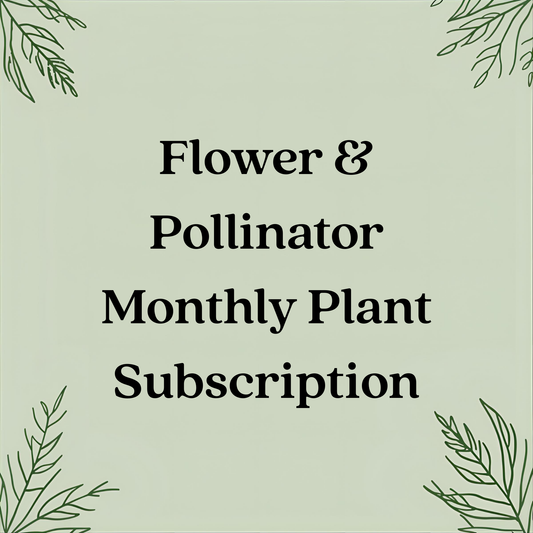 Flower & Pollinator Monthly Plant Subscription – Seasonal Blooms in 4" Pots