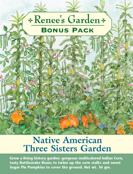 Bonus Pack Native American Three Sisters Garden