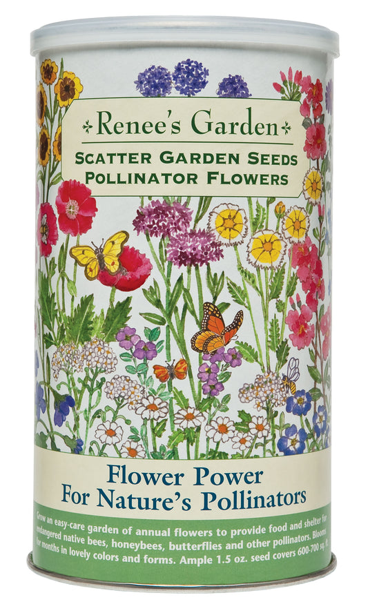 Scatter Garden Pollinator Flowers