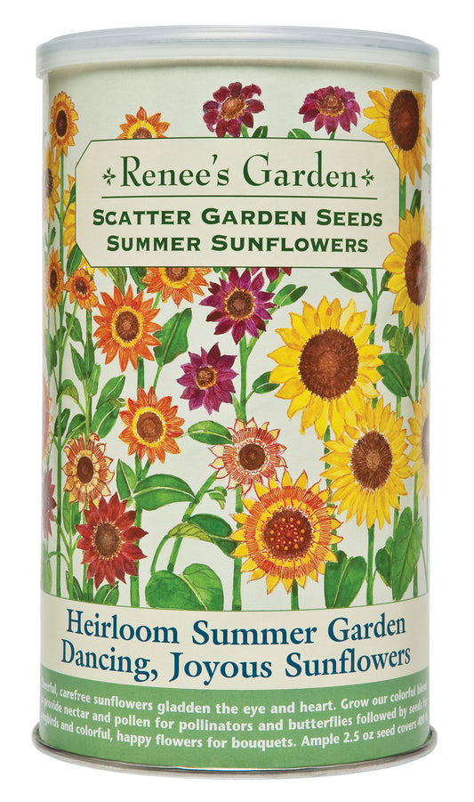 Scatter Garden Summer Sunflowers