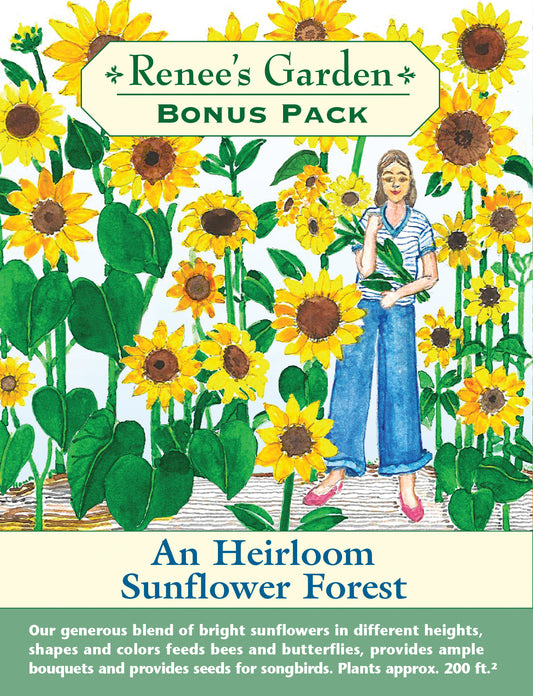 Bonus Pack  A Sunflower Forest