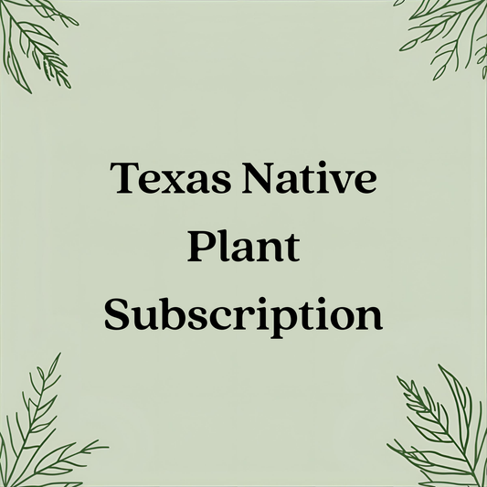 Texas Native Plant Subscription – Drought-Tolerant Natives in 4" Pots