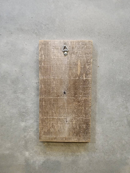 Maceta de pared de arpillera y madera (con plantas de aire)