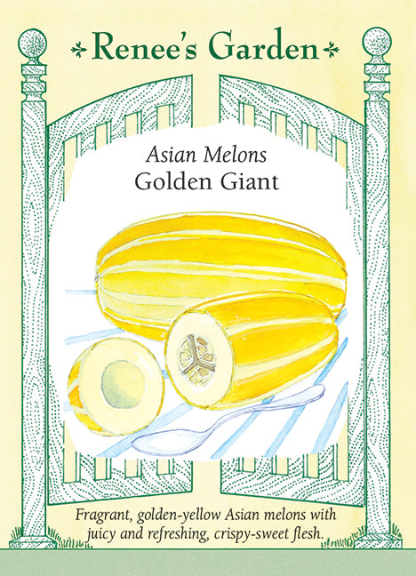 Melon Golden Giant