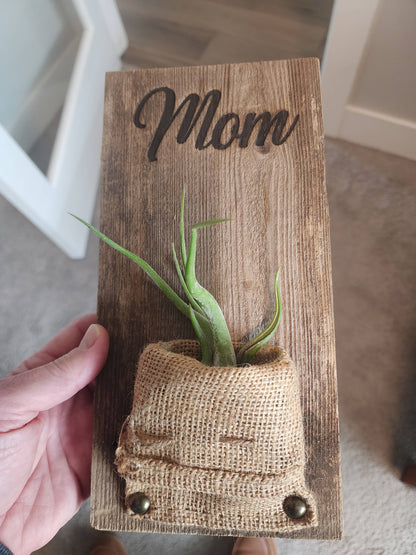 Maceta de pared de arpillera y madera (con plantas de aire)