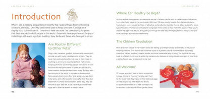 Crianza de pollos (Nuevo formato Chunky)