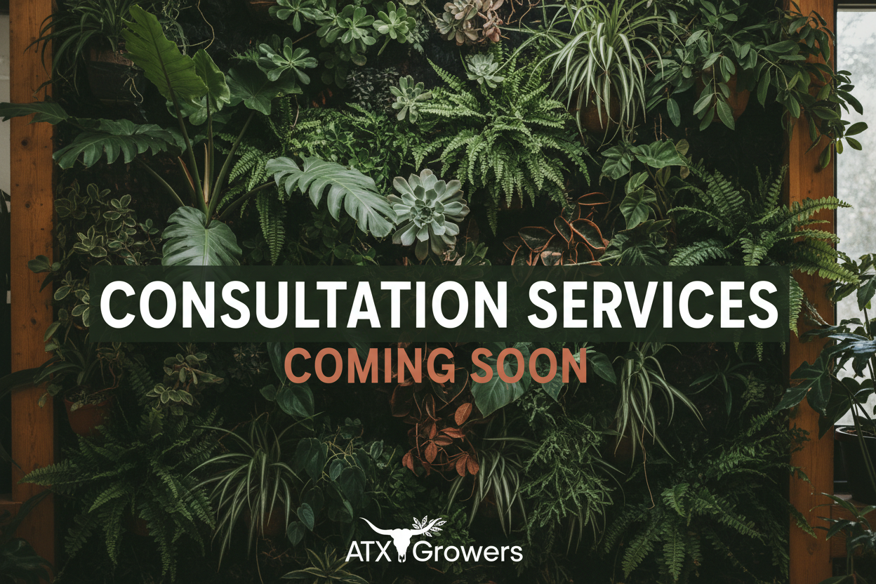 Consultation Services