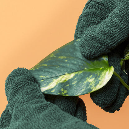 Microfiber Leaf Cleaning Gloves - Green