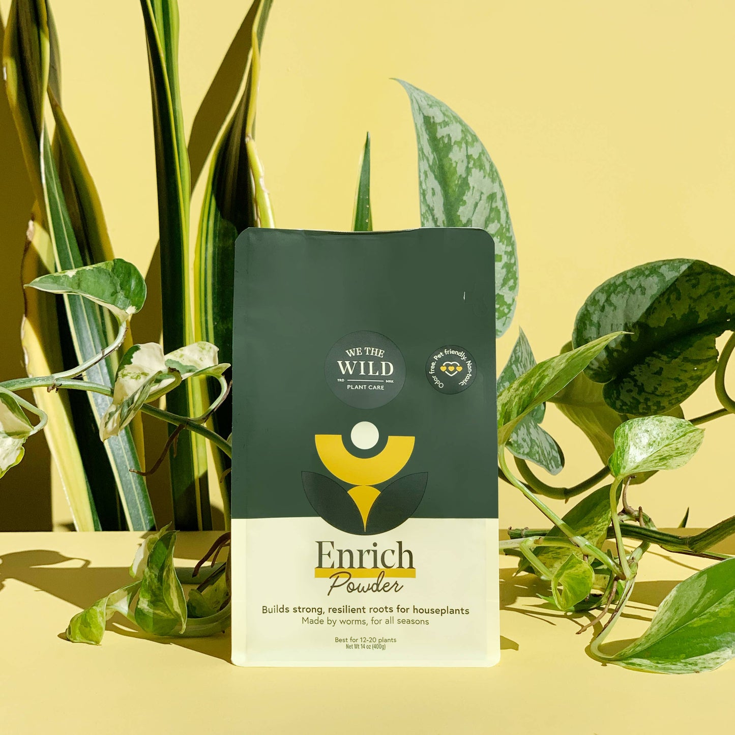 Santa Essential Plant Care Kit