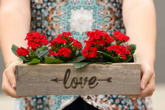 Reclaimed Wood Succulent Love and Arrow Planter - Medium