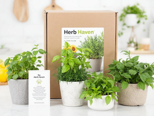 Herb Haven Box