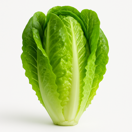 Lechuga Pequeña Joya