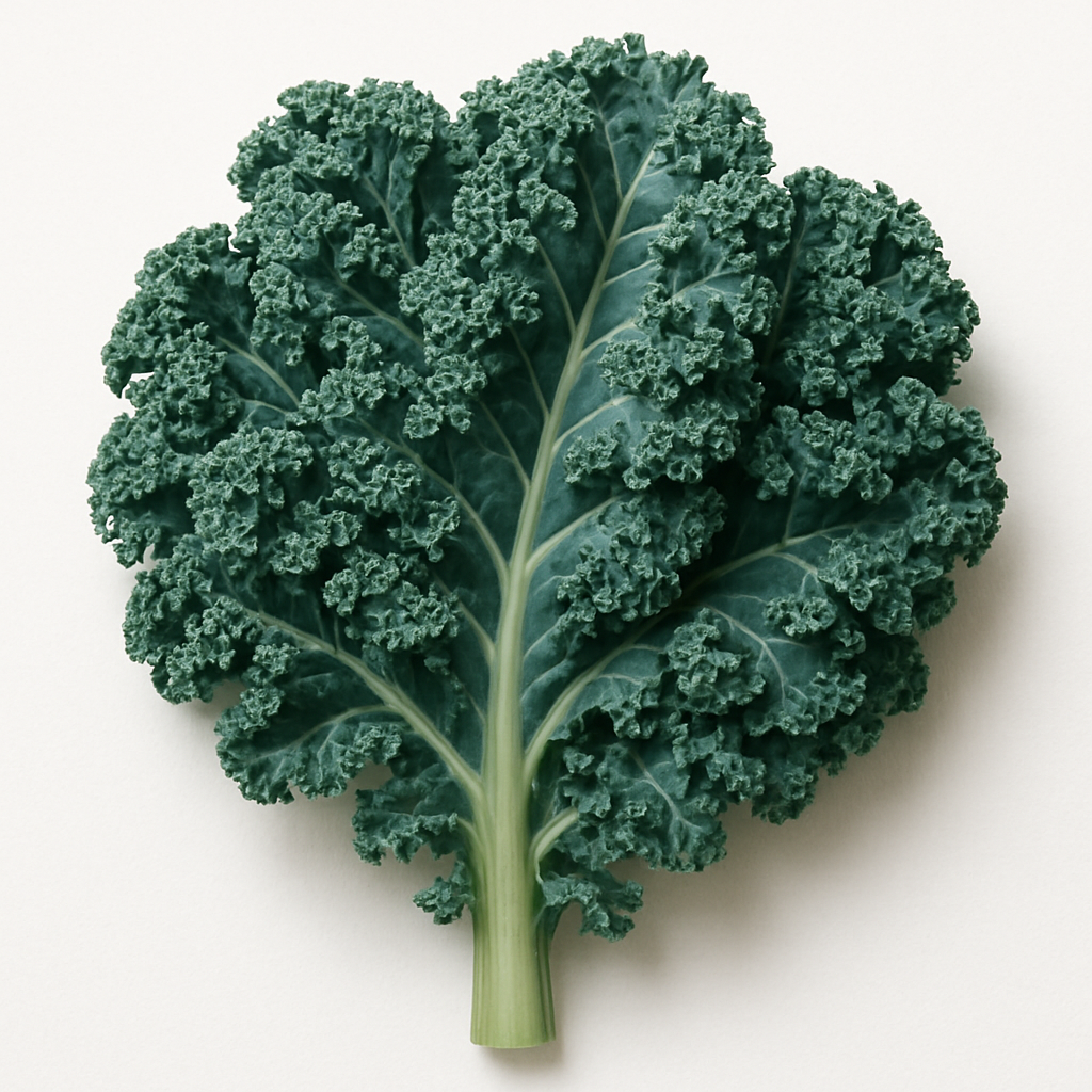 Col rizada Winterbor