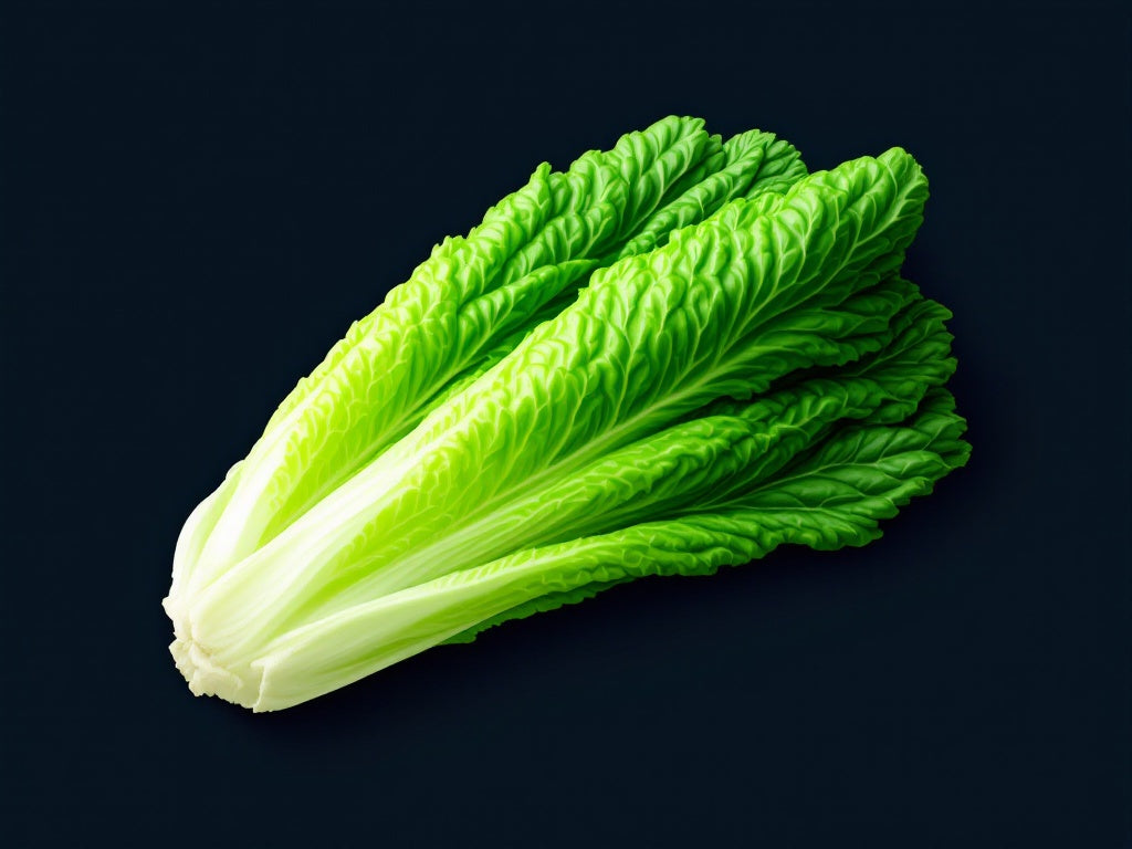 Romaine Lettuce