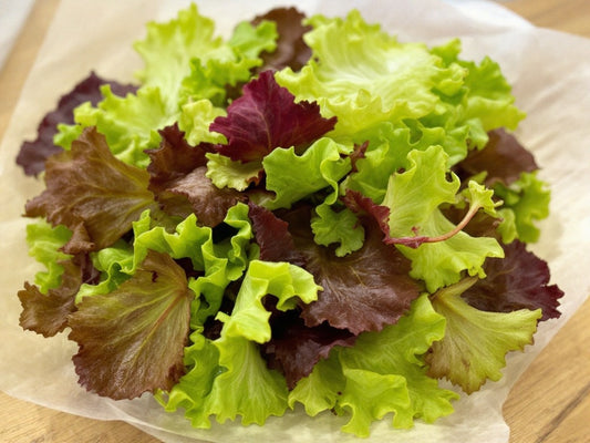 Specialty Lettuce