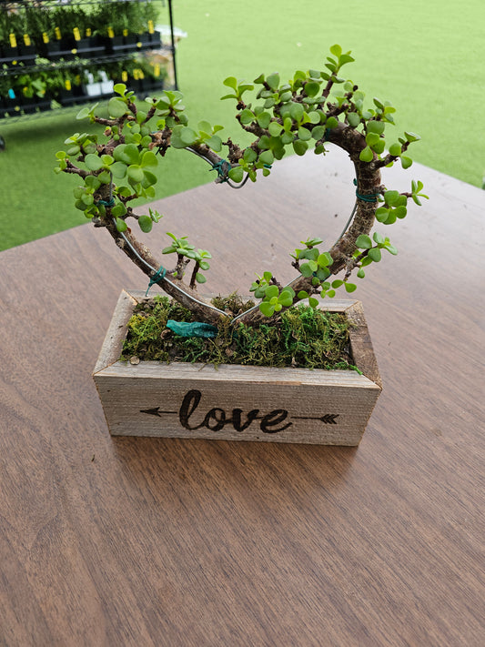 Reclaimed Wood Succulent Love and Arrow Planter - Small